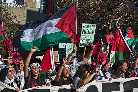 Record Numbers Stand Up Worldwide in Solidarity with Palestine