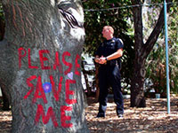 Berkeley Tree-sitters Coming Under Attack