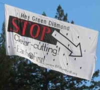 Tree Sitters Occupy Humboldt Redwoods