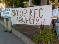 KFC Protest in Healdsburg