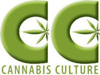 Facebook Removes Cannabis Culture Page and a Marijuana Proponent's Account