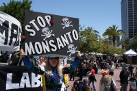 In Four Bay Area Cities, Protests Part of World Wide Demonstration Against Monsanto