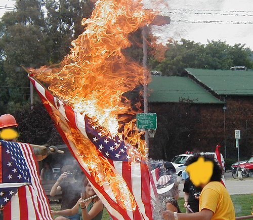 burnflag.jpg 