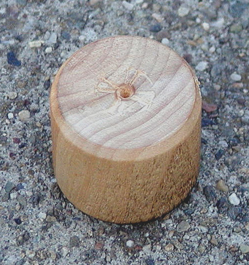 wooden_bullet2.jpg 