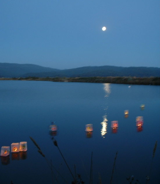 lanterns_on_pond.jpg 