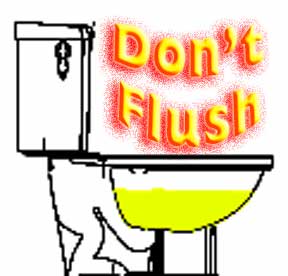 fightingflush.jpg 