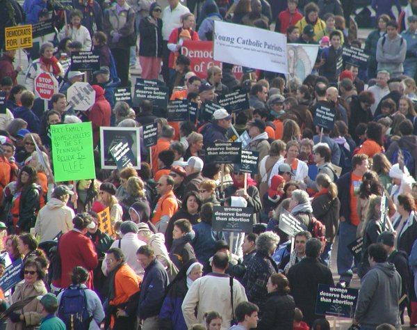 crowd2.jpg7m1nkc.jpg 