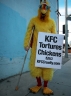 120_kfcchicken_2-12-05.jpg