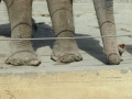 120_calle-feet-closeup2.jpg