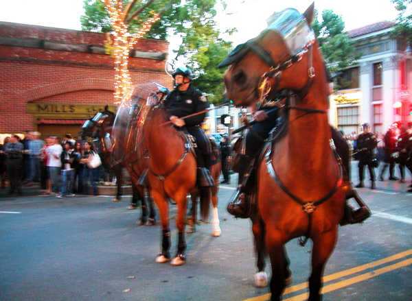 animalsonhorses_6-25-05.jpg 