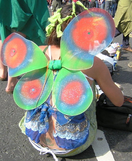 butterflycostume.jpg 