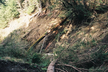 streambank_erosion.jpg
