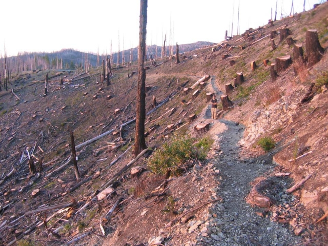 640_babyfoottrail-lowres.jpg
original image ( 960x720)