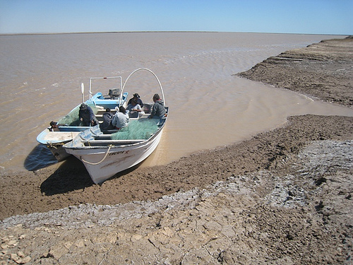 coloradoriverdelta_1.jpg 