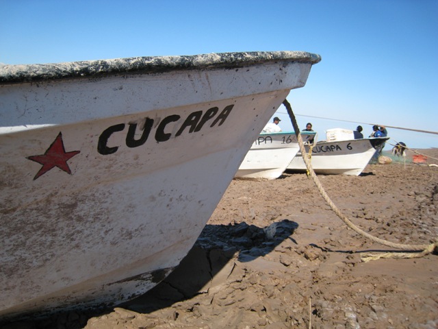 cucapacooperativeboat_1.jpg 