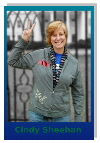 cindy_sheehan.png 