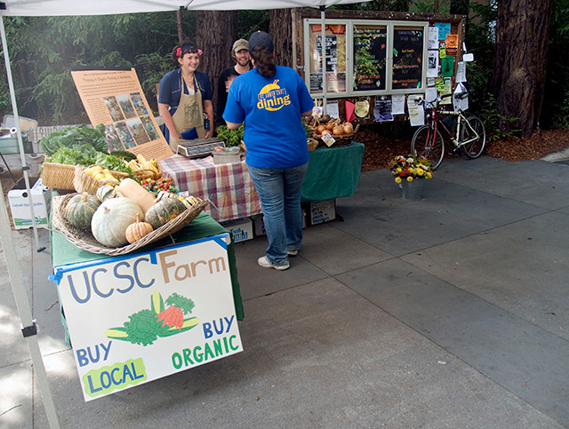 ucsc-farm_10-27-07.jpg 