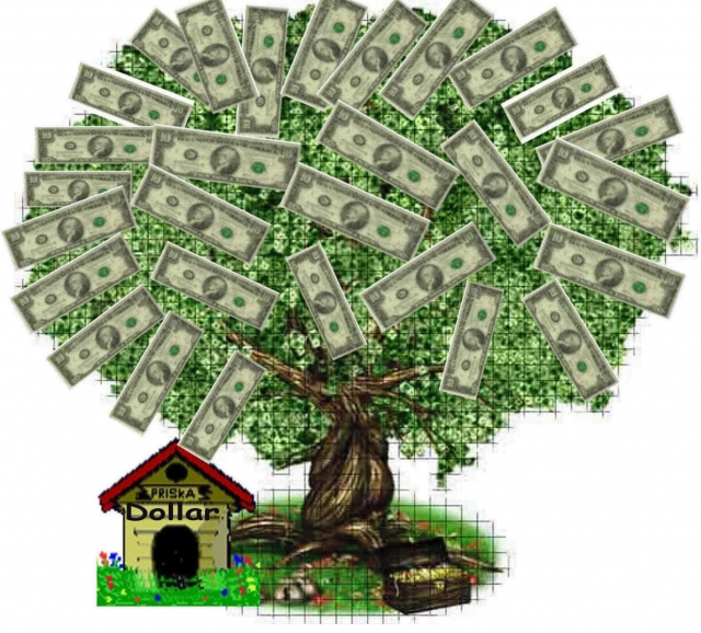 640_money_tree5.jpg 