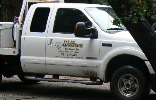 640_williams-truck.jpg 