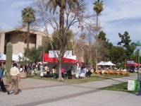 care_giver_rally-state_capitol_3-13-08_overview_1.jpg