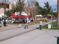 care_giver_rally-state_capitol_3-13-08_overview_2.jpg