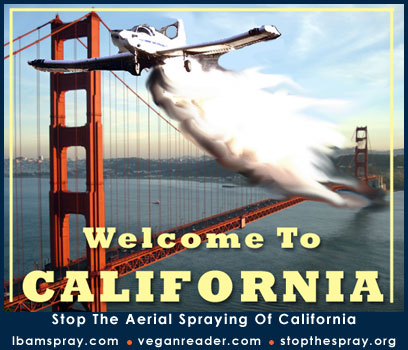 welcome-to-california.jpg 