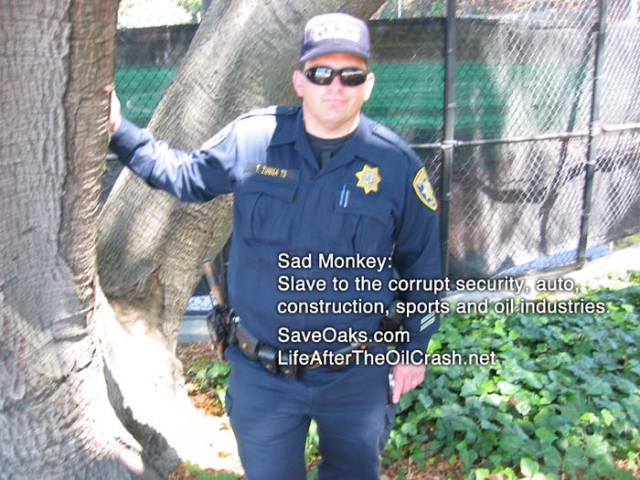 640_img_3375.jpg original image ( 700x525)