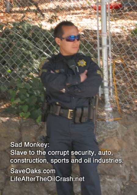 640_img_3386.jpg original image ( 490x700)