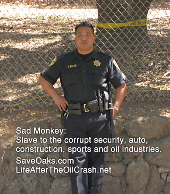 640_img_3392.jpg original image ( 614x700)