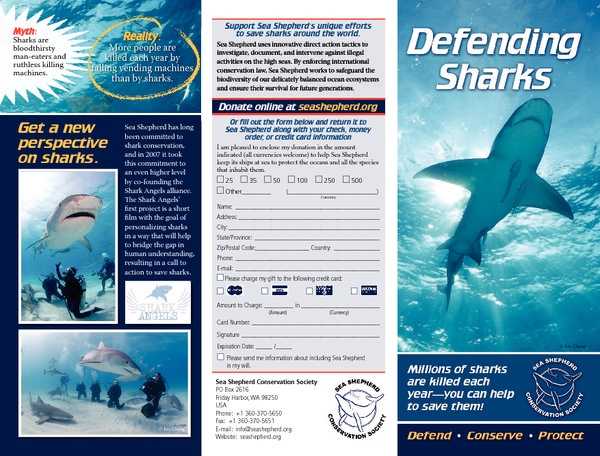 media_080903_1_shark_brochure_english.pdf_600_.jpg