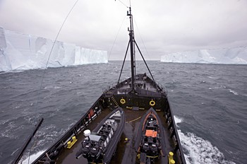 news_081223_steve_irwin_two_icebergs.jpg 