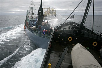 news_090205_2_3_whaling_opponents_collide_at_sea.jpg 