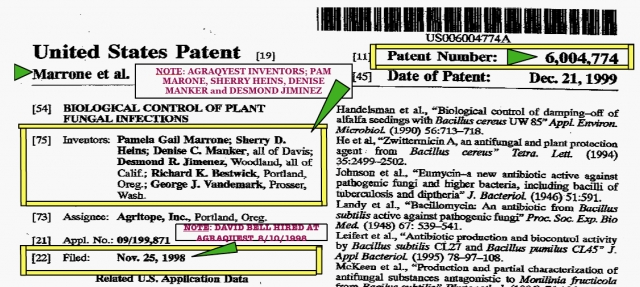 640_patent_histo_aq.jpg 