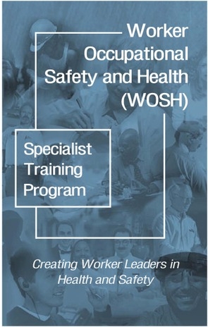 wosh-specialisttrainingprogram.pdf_600_.jpg