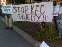 200_kfc_demo_2.jpg original image ( 600x800)