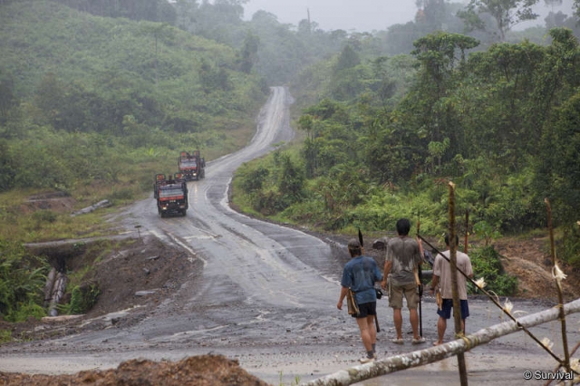 640_penan.jpg original image ( 800x533)
