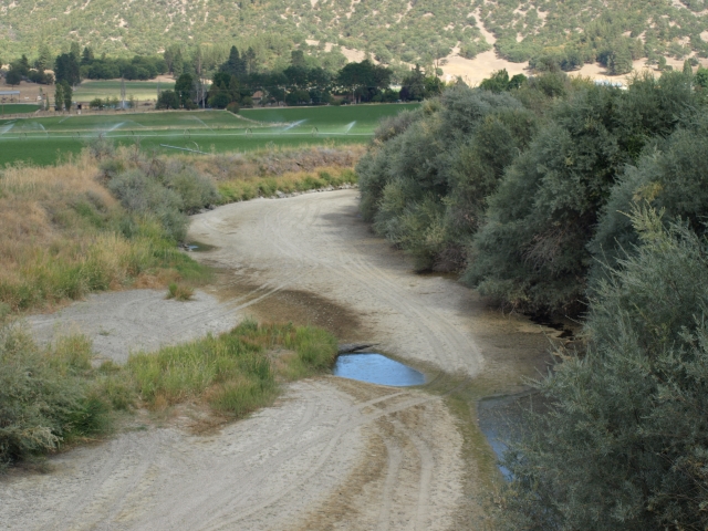 640_scottr_dewatered_8-09_002.jpg original image ( 3648x2736)