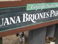 200_jbparkparksign.jpg original image ( 2534x1234)