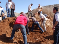 200_karyut_170.jpg original image ( 3008x2000)