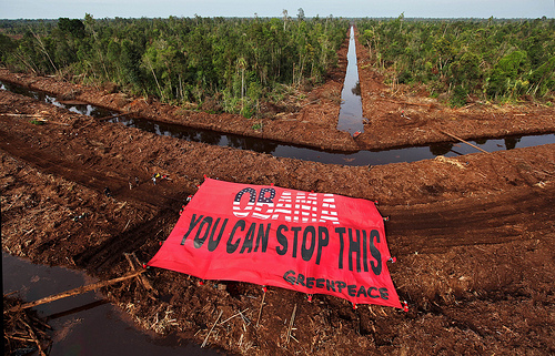 Biofuels | Mobilization for Climate Justice