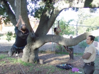 200_earthfirst_nvcdtraining_110709c.jpg original image ( 640x480)