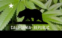 california-republic.jpg 