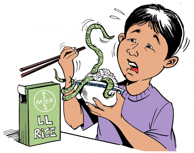 640_bayer_genetic_modified_rice_consumer.jpg