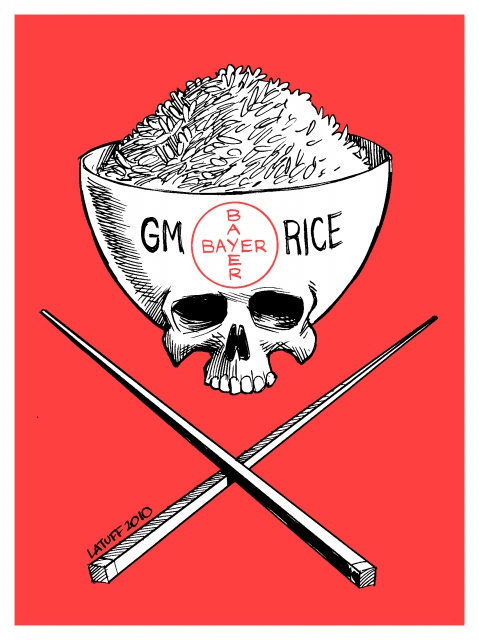 640_bayer_genetic_modified_rice_danger.jpg 