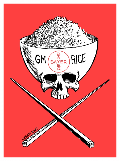 640_bayer_genetic_modified_rice_danger.jpg