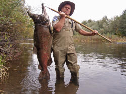 giant-salmon-battle-creek-2_small.jpg 