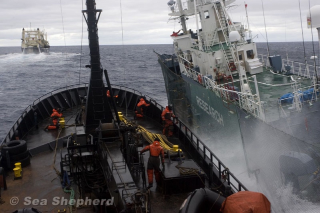 640_100206_nishan_maru_rams_bob_barker.jpg