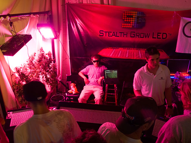 stealth-grow_6-19-10.jpg 