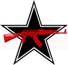 black_star_logo_1.jpg 