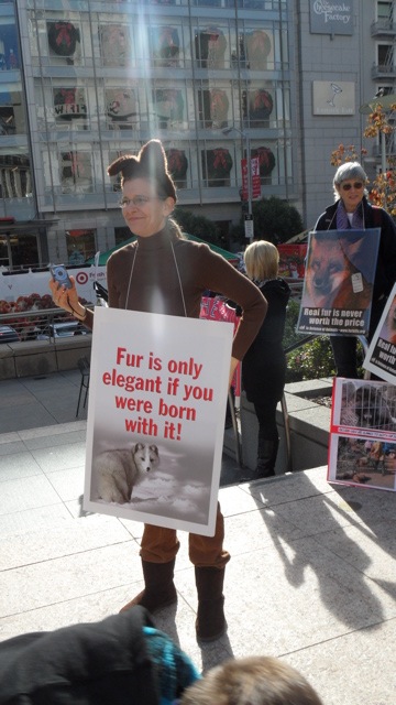 fur_free_friday_11-26-10_-_3.jpg 